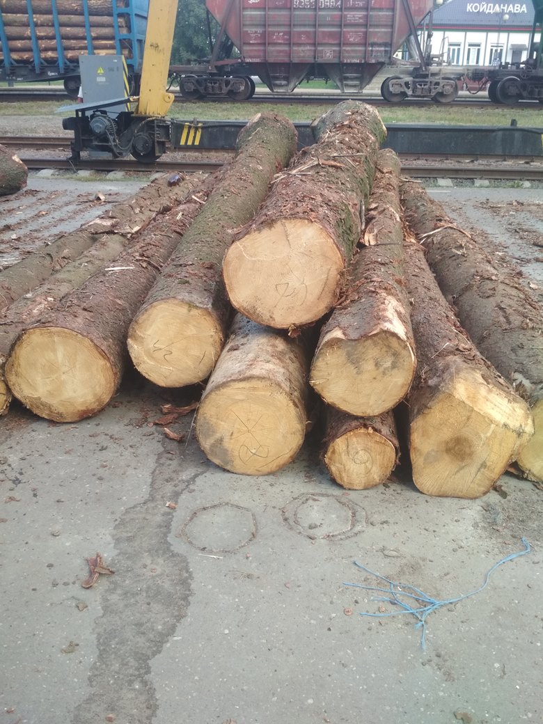 Продам деревообрабатывающее предприятие под Минском