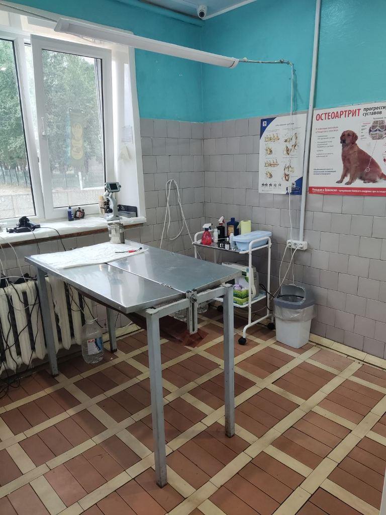 Продается круглосуточная ветеринарная клиника в Бобруйске