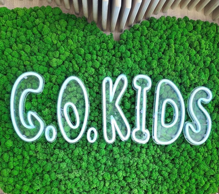 Продам детское игровое пространство "GoKids