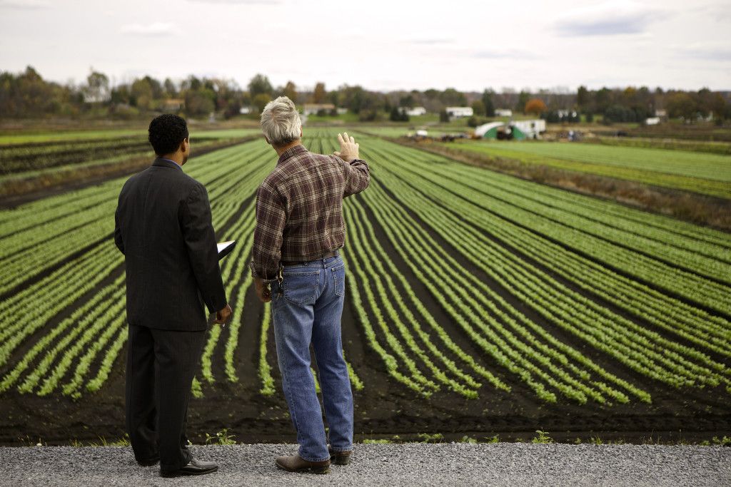Многофункциональный агропромышленный комплекс