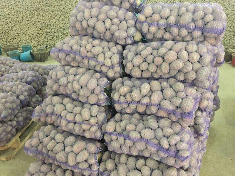 Поставщик картофеля из Украины