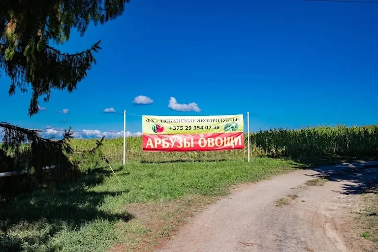 Фермерское хозяйство — 80 га земли, теплицы, техника и контракты на сбыт